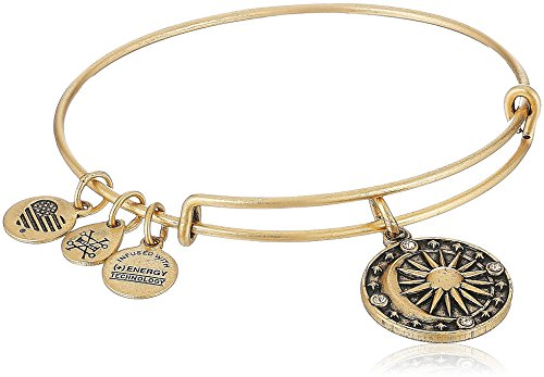 Alex and Ani アレックス アンド アニー コズミック バランス II バングル ブレスレット A17EBCBRG